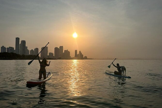 MORNING TOUR PaddleBoard or kayak - How safe is the experience for beginners?