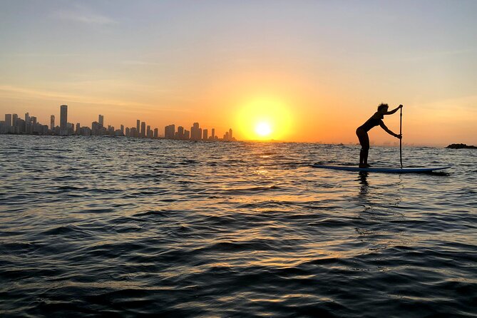 MORNING TOUR PaddleBoard or kayak - What the $50 price really buys you