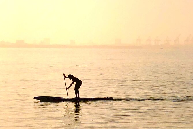 MORNING TOUR PaddleBoard or kayak - Timing, transport, and small practical details