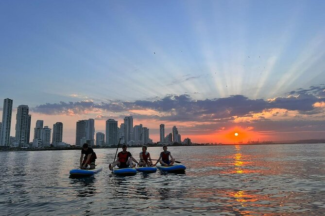MORNING TOUR PaddleBoard or kayak - Who will enjoy this short Miami paddle?