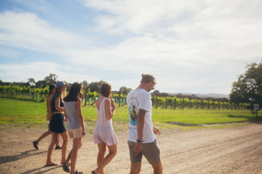 Mornington Peninsula: SUP, Hike, & Hot Springs Trip w/ Lunch - Why this full-day outing works