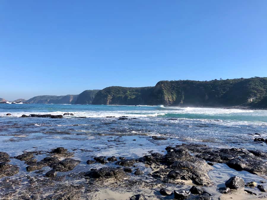 Mornington Peninsula: SUP, Hike, & Hot Springs Trip w/ Lunch - Two hours at Peninsula Hot Springs
