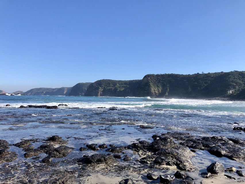 Mornington Peninsula: SUP, Hike, & Hot Springs Trip w/ Lunch - Should you book the Mornington Peninsula SUP, Hike, and Hot Springs Trip?