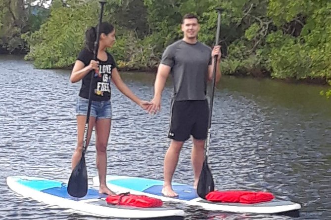 Naples Fl, Paddleboard Mangrove Forest Tour - Why the Gordon River Greenway works for a paddleboard trip