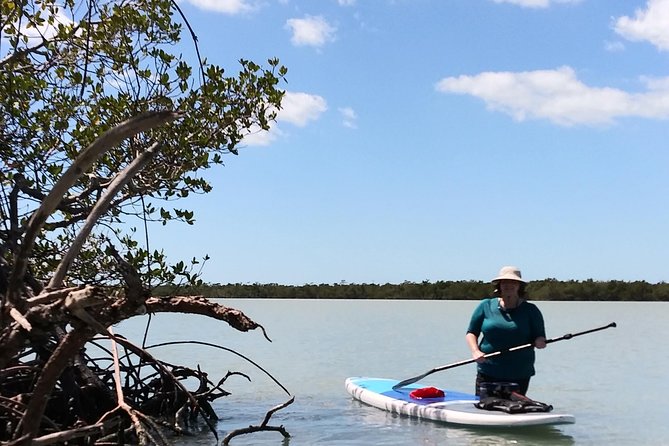 Naples Fl, Paddleboard Mangrove Forest Tour - Following the water through the mangrove area