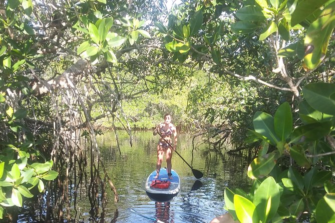Naples Fl, Paddleboard Mangrove Forest Tour - Weather, cancellations, and the part that needs care
