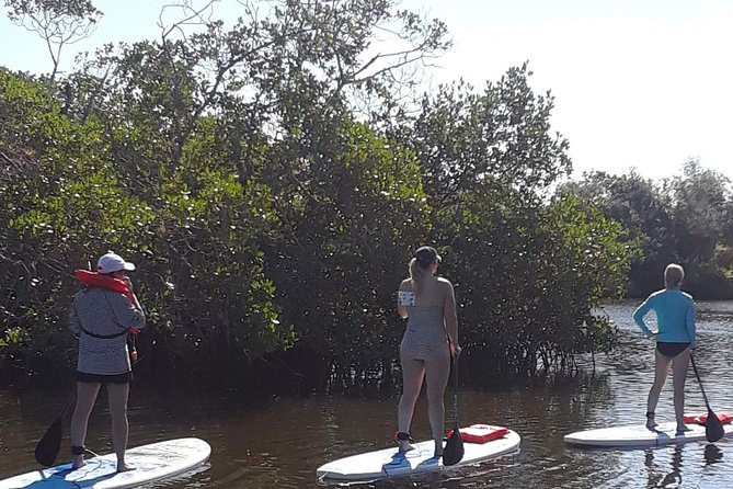 Naples Fl, Paddleboard Mangrove Forest Tour - Small details that can make the morning easier