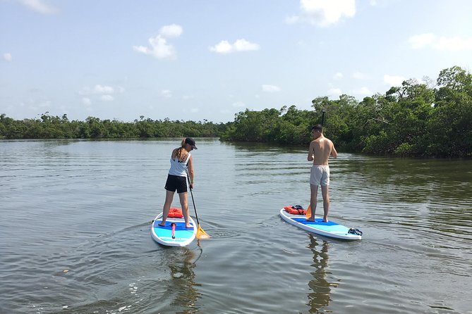 Naples Fl, Paddleboard Mangrove Forest Tour - Getting on the board near the Naples Zoo