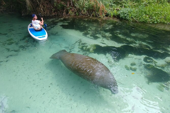Nature & Island Exploration on SUP/Kayak - Key points to know before you go