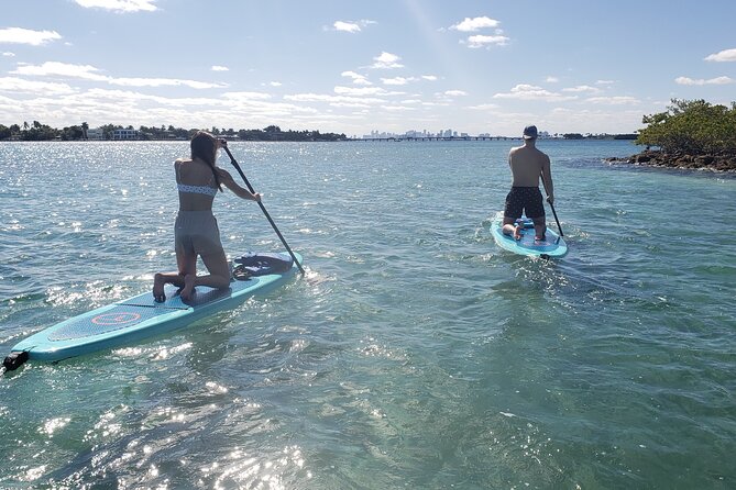 Nature & Island Exploration on SUP/Kayak - Choosing between a kayak and SUP
