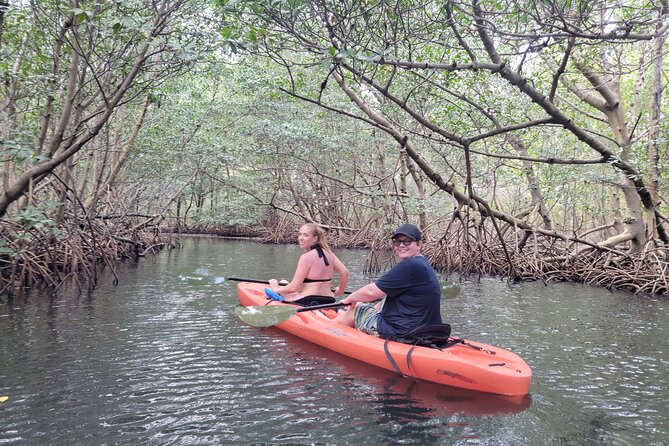 Nature & Island Exploration on SUP/Kayak - The swimming break and included refreshments