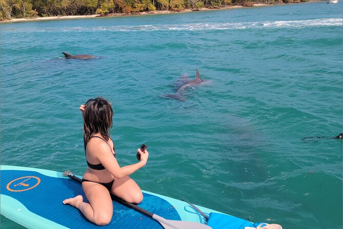 Nature & Island Exploration on SUP/Kayak - Price, value, and who should book