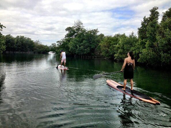 Nature Stand Up Paddle Boarding Experience in Miami - Quick points to know