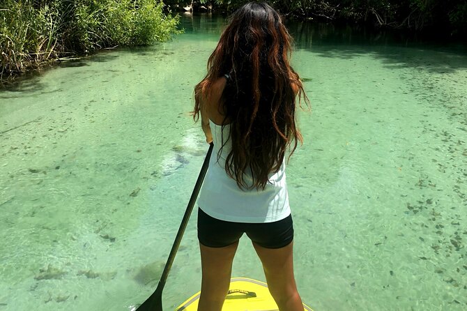 Nature Stand Up Paddle Boarding Experience in Miami - Why this Miami paddle trip feels different