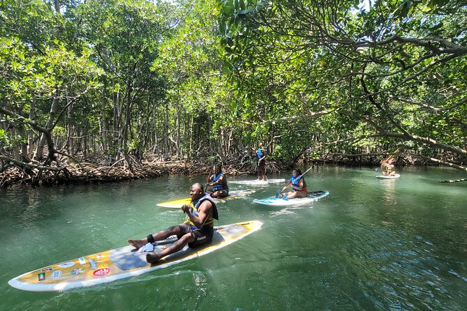 Nature Stand Up Paddle Boarding Experience in Miami - Through the mangroves, where the route gets quiet