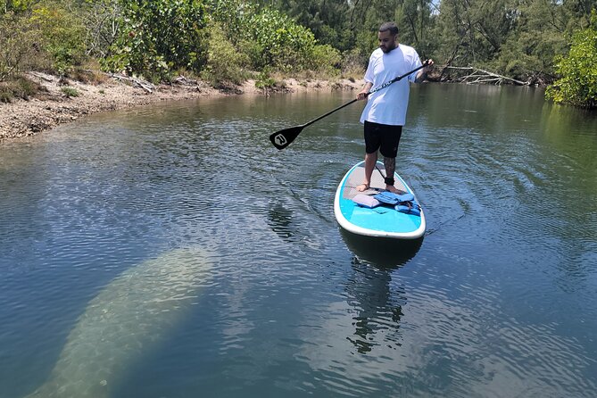 Nature Stand Up Paddle Boarding Experience in Miami - The first 10 minutes: getting steady on the board