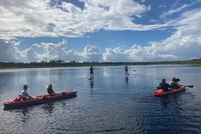 New Smyrna Dolphin and Manatee Kayak and SUP Adventure Tour - What the two-hour route feels like