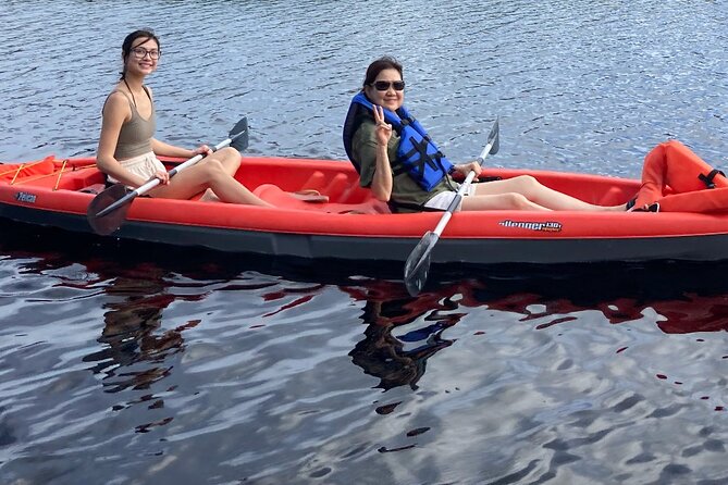 New Smyrna Dolphin and Manatee Kayak and SUP Adventure Tour - How scenic is the route?