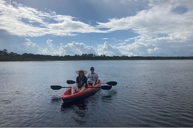 New Smyrna Dolphin and Manatee Kayak and SUP Adventure Tour - Is $65 a fair price?