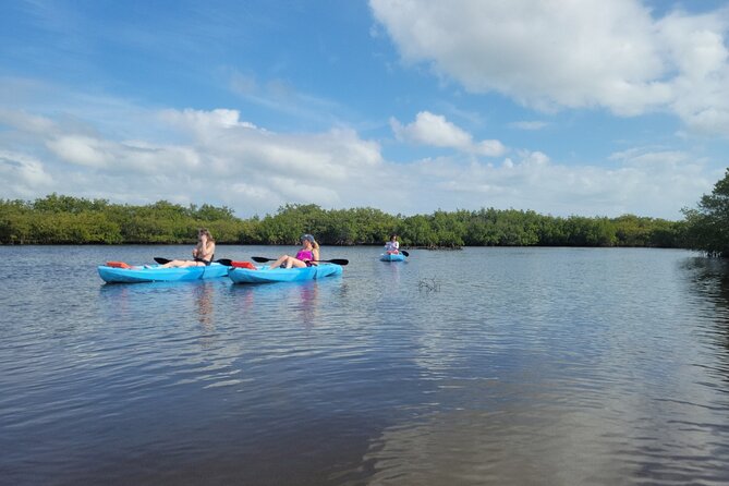 New Smyrna Dolphin and Manatee Kayak and SUP Adventure Tour - The wildlife search, from dolphins to manatees