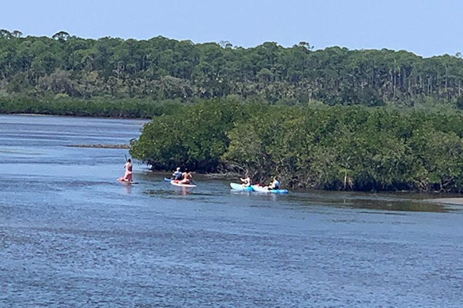 New Smyrna: Half-Day Guided SUP or Kayak Waterways Tour - Setting off through the calm waterways