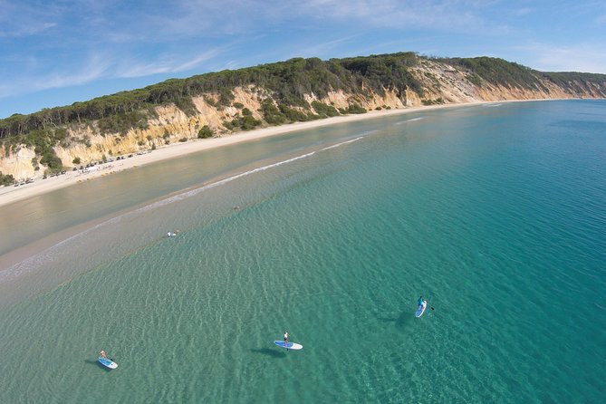 Noosa: Epic Stand Up Paddle Wildlife & Beach 4X4 Adventure - Key points to know before booking