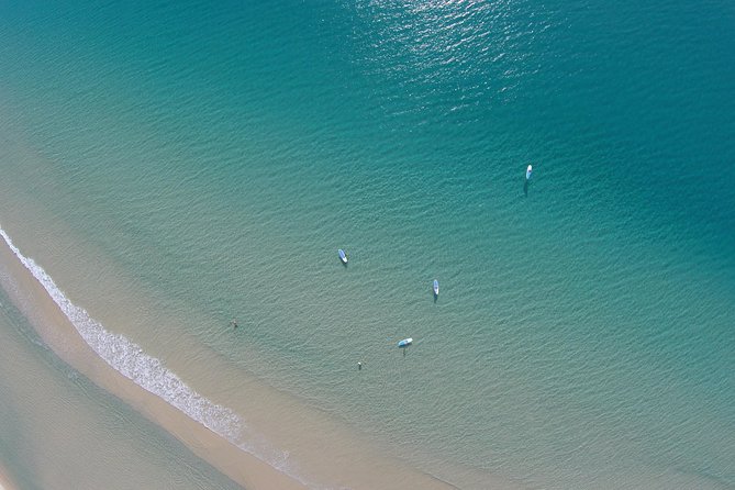 Noosa: Epic Stand Up Paddle Wildlife & Beach 4X4 Adventure - Why the Great Beach Drive matters