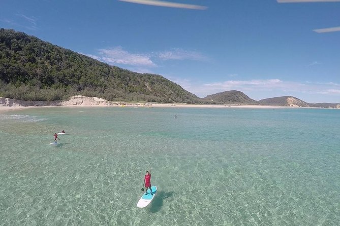 Noosa: Epic Stand Up Paddle Wildlife & Beach 4X4 Adventure - Wildlife watching on the water