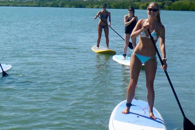 Noosa: Epic Stand Up Paddle Wildlife & Beach 4X4 Adventure - What is included for $115.48
