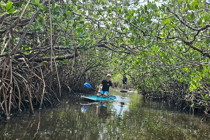 Noosa Stand Up Paddle Group Lesson - Who should book this lesson?
