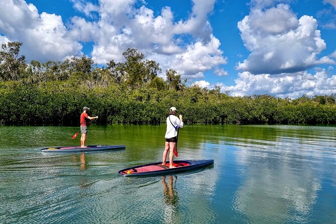 Noosa Stand Up Paddle Group Lesson - Final call: book it for an easy first paddle
