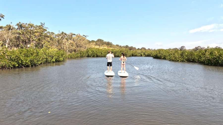 Noosa Stand Up Paddle & Mangrove Tunnel Tour (Self Guided) - What self-guided really means here