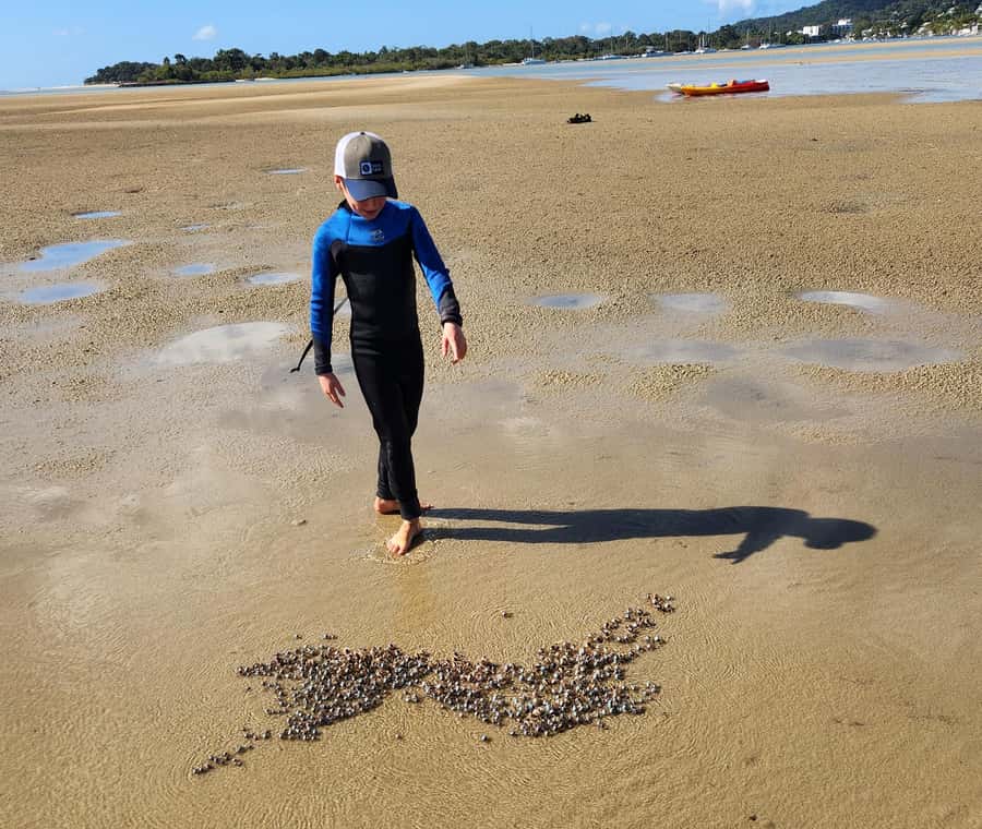 Noosa Stand Up Paddle & Mangrove Tunnel Tour (Self Guided) - Practical details before you book