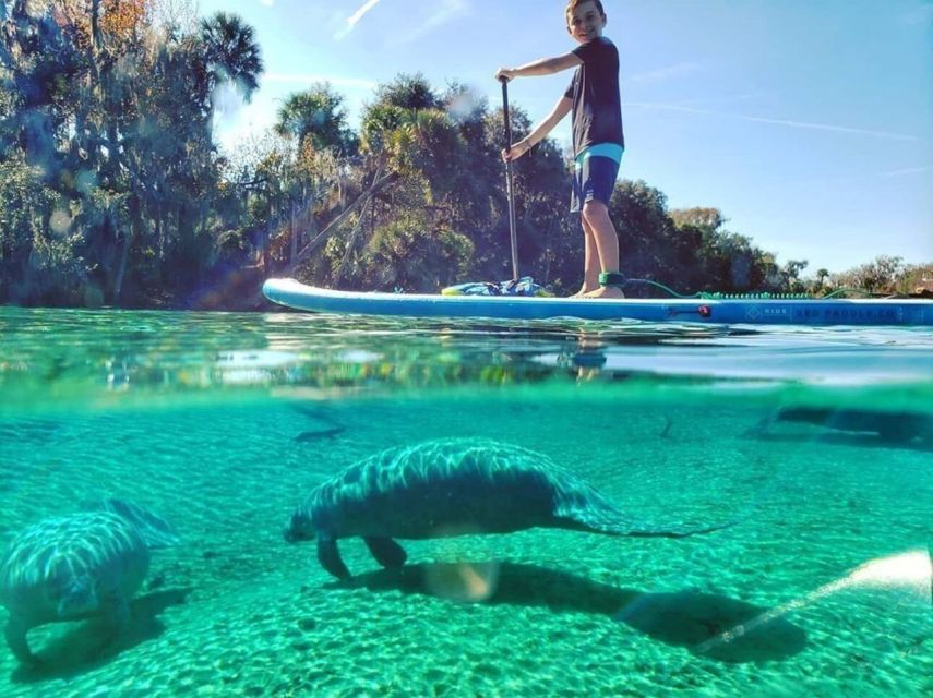 North Miami: Nature & Island Exploration on SUP/Kayak - Key points at a glance
