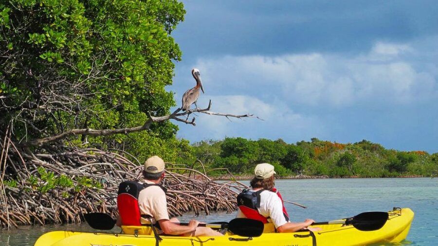 North Miami: Nature & Island Exploration on SUP/Kayak - Starting at Venetian Marina with time to find the boat