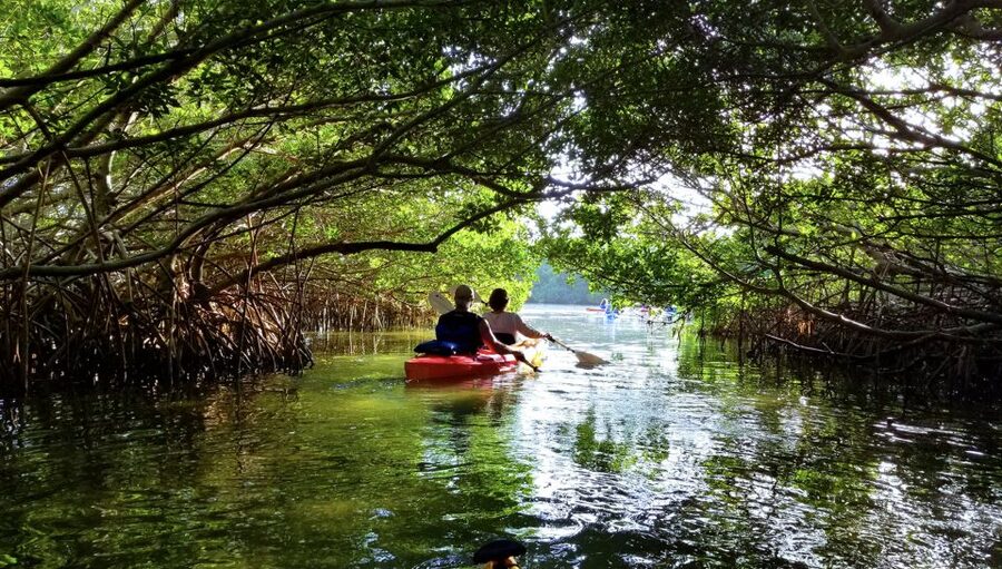 North Miami: Nature & Island Exploration on SUP/Kayak - Returning by water and extending your park visit
