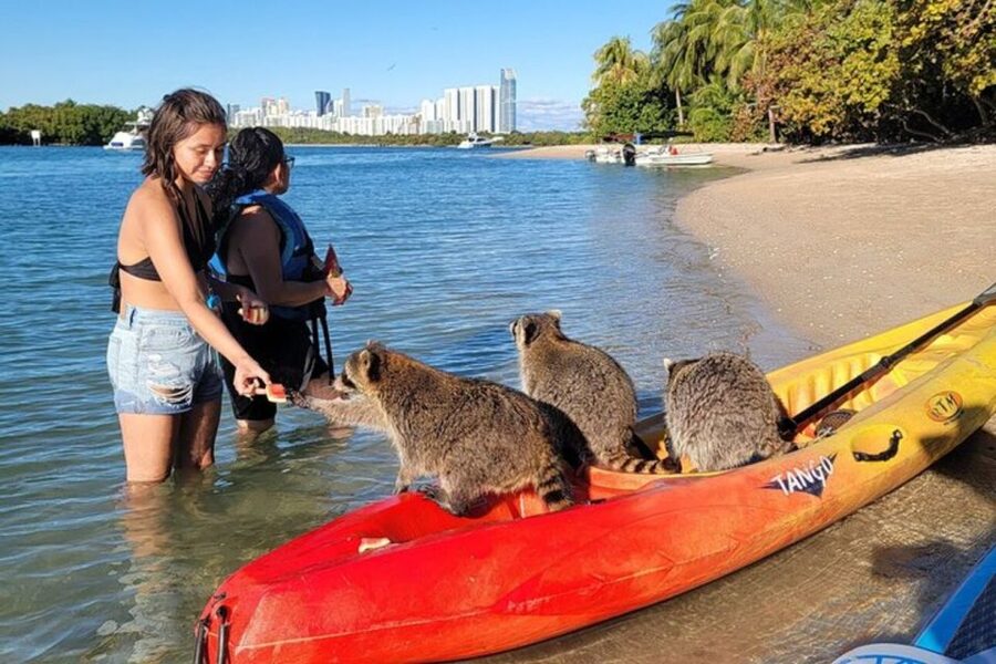 North Miami: Nature & Island Exploration on SUP/Kayak - What the $99 price includes