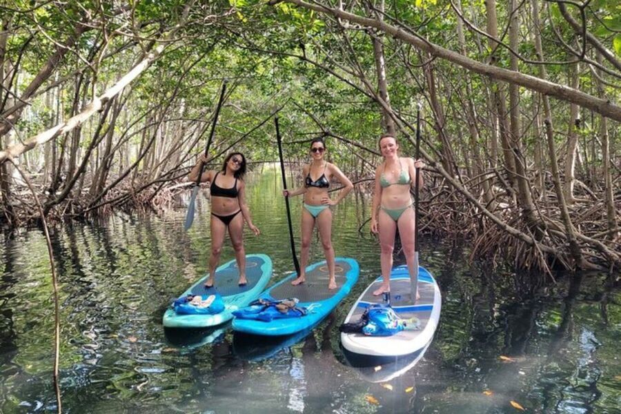 North Miami: Nature & Island Exploration on SUP/Kayak - Packing advice for a humid water day