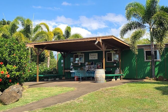 North Shore Farm: Anahulu River, Kayak-Sup, Turtles, Lunch & More - Lunch with shrimp, kalua pig, and vegetarian choices