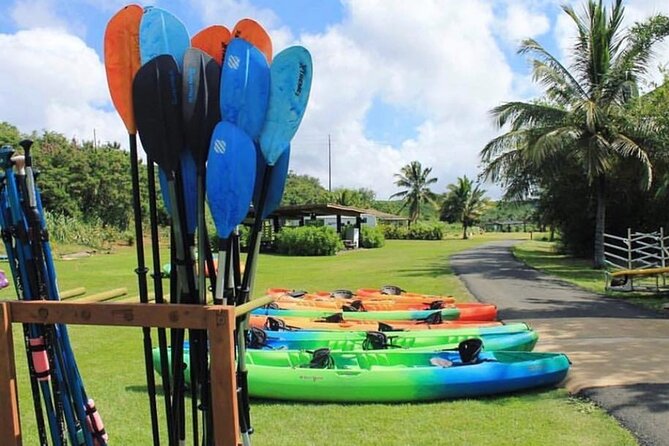 North Shore Farm: Anahulu River, Kayak-Sup, Turtles, Lunch & More - What the $80 price includes