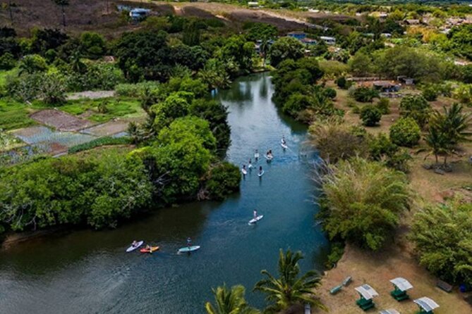 North Shore Farm: Anahulu River, Kayak-Sup, Turtles, Lunch & More - Kayaking or paddleboarding toward the ocean