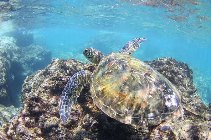 North Shore Stand-Up Paddleboard Lesson - Returning through Waialua Bay