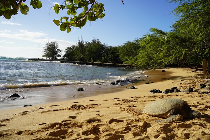 North Shore Surfing Lessons Oahu Hawaii - The Instructors Make the Biggest Difference