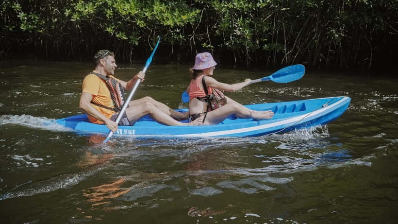 Nusa Lembongan: Mangrove Kayak or Paddleboard Adventure - Why the mangroves make a good change from the beach