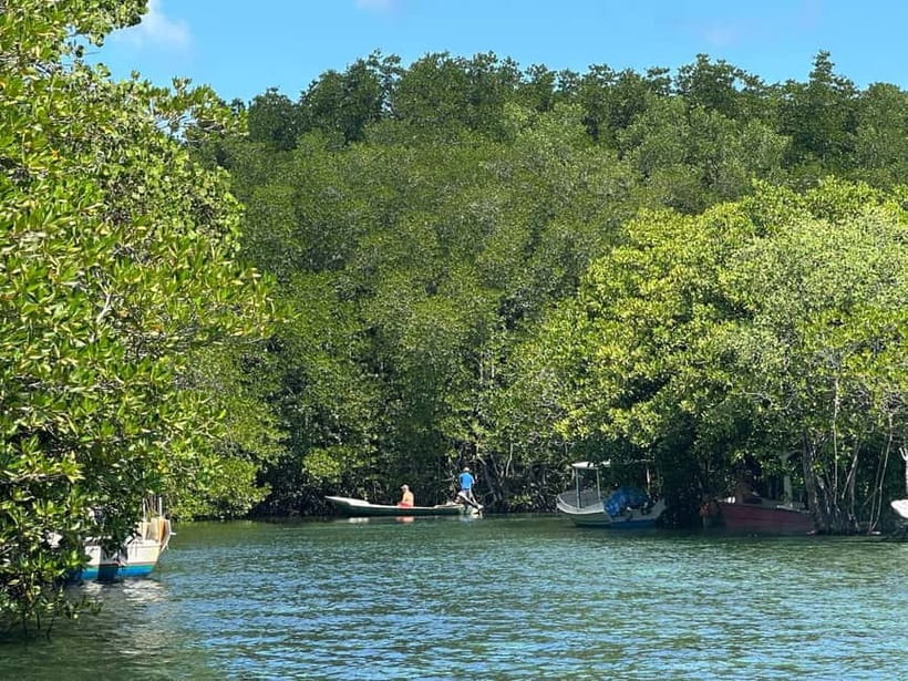 Nusa Lembongan: Mangrove Kayak or Paddleboard Adventure - What the guide adds, and where the tour can fall short