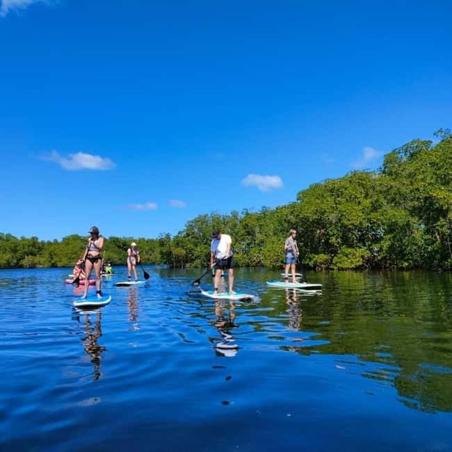Nusa Lembongan: Mangrove Kayak or Paddleboard Adventure - A one-hour route with a clear limit