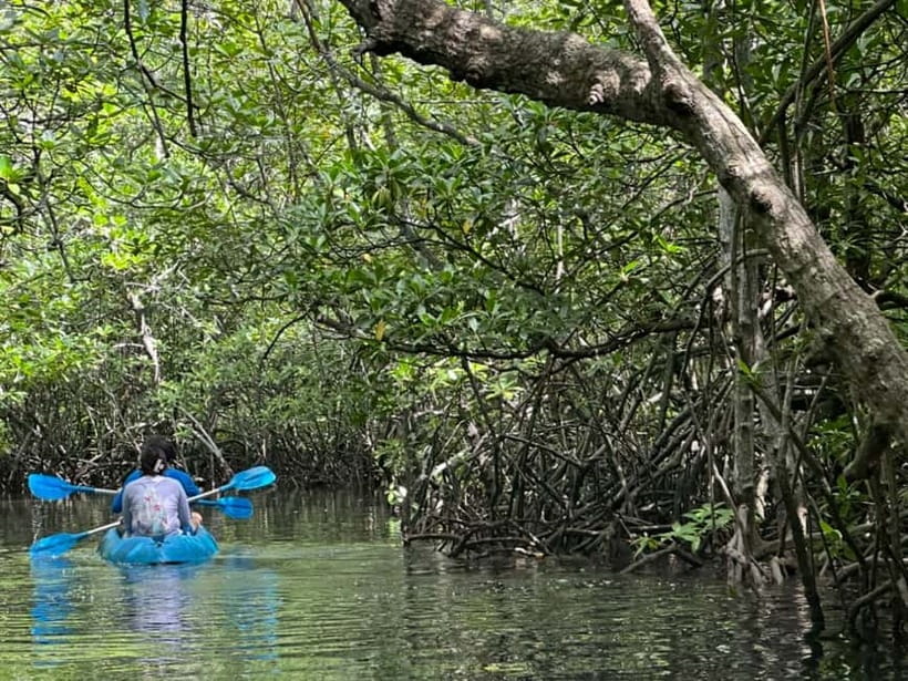 Nusa Lembongan: Mangrove Kayak or Paddleboard Adventure - What to bring for a comfortable outing