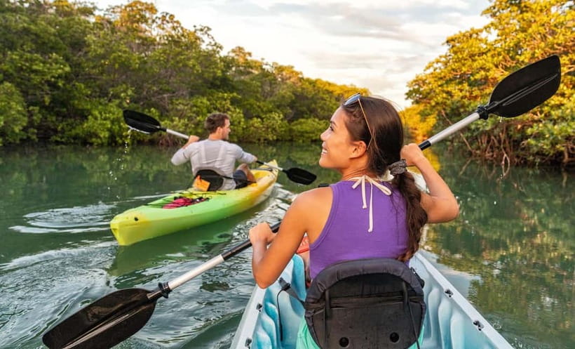 Nusa Lembongan: Mangrove Kayak or Paddleboard Adventure - The conservation angle is worth your attention