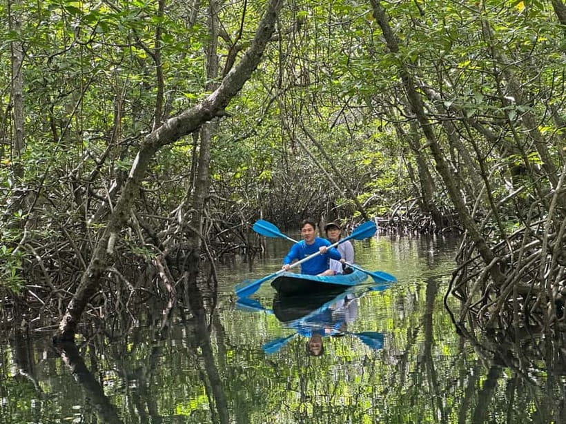 Nusa Lembongan: Mangrove Kayak or Paddleboard Adventure - Who should book this Nusa Lembongan paddle?