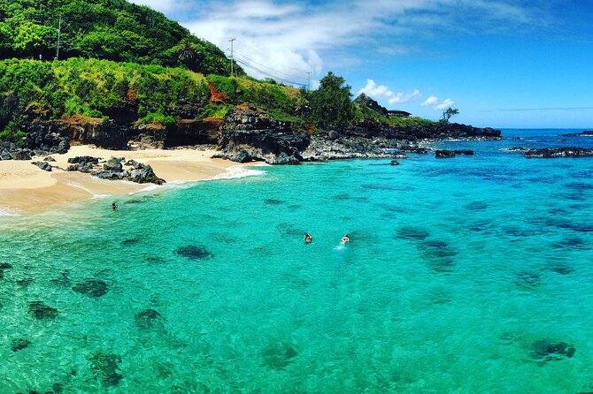 Oahu North Shore Experience: Activities, Waterfall & Free Time - Snorkeling at Shark’s Cove